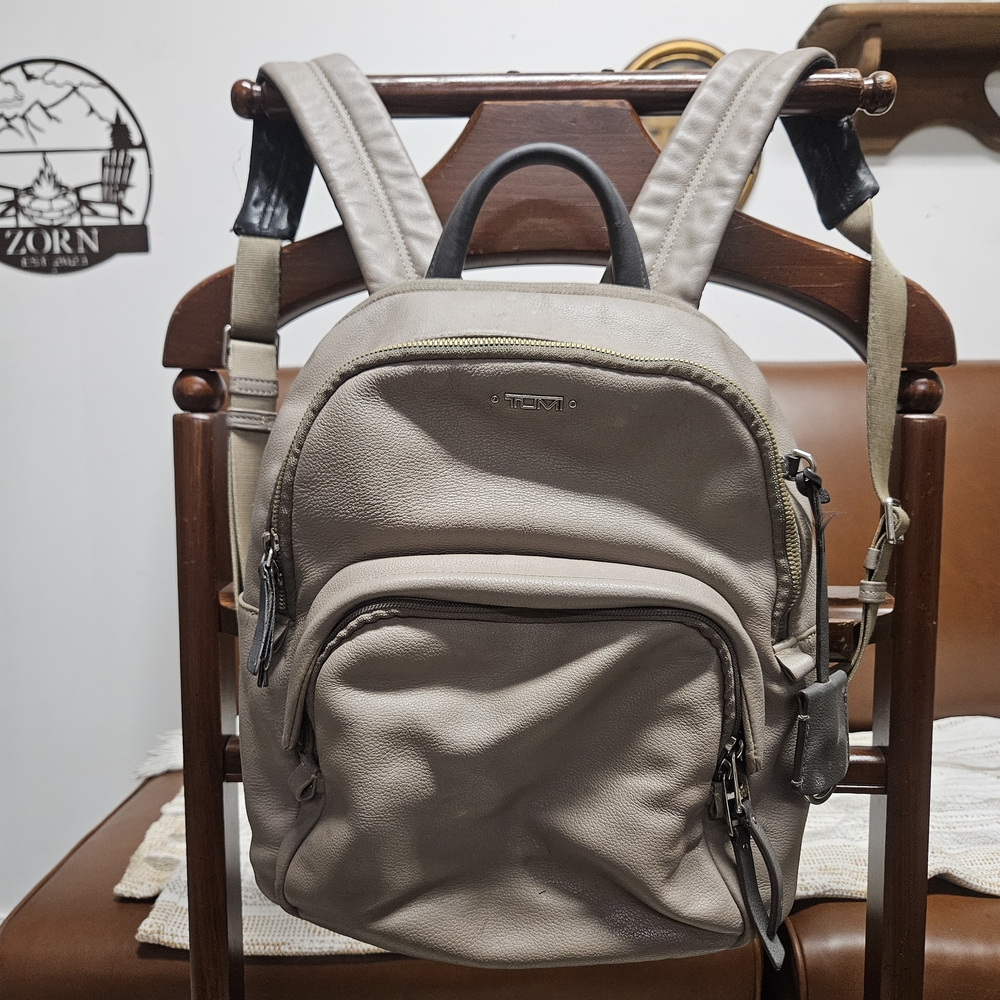Tumi Gray Leather Men's Backpack